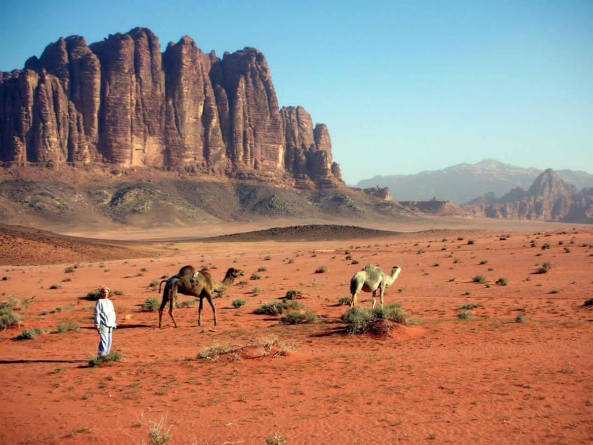 Magic Rum Hussain Wadi Rum Eksteriør billede