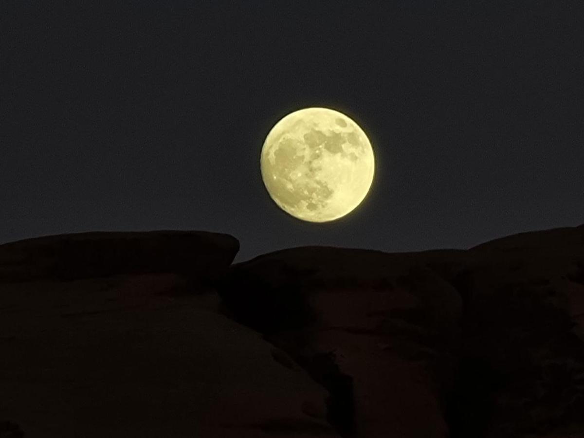 Magic Rum Hussain Wadi Rum Eksteriør billede