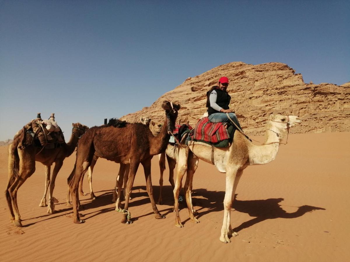Magic Rum Hussain Wadi Rum Eksteriør billede